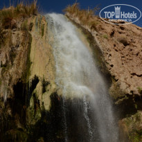 фото из отзыва ID 482655