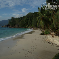 фото из отзыва ID 482100