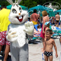 фото из отзыва ID 482177