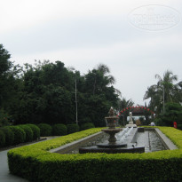 фото из отзыва ID 483382