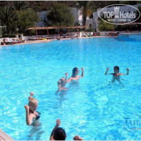 фото из отзыва ID 483609