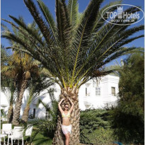 фото из отзыва ID 483609