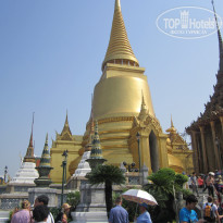 фото из отзыва ID 483628