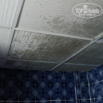 фото из отзыва ID 483687