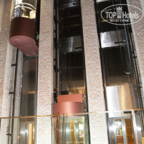 фото из отзыва ID 483833