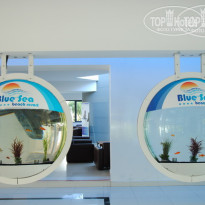 фото из отзыва ID 483164