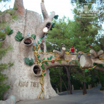 фото из отзыва ID 483270