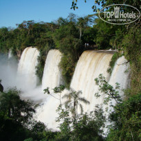 фото из отзыва ID 484169