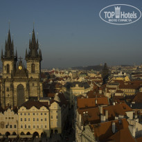 фото из отзыва ID 484211