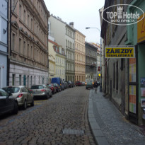 фото из отзыва ID 484211