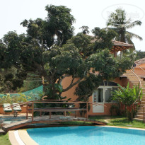 фото из отзыва ID 484219