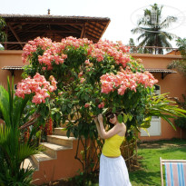 фото из отзыва ID 484219