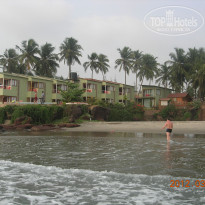 фото из отзыва ID 484242