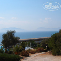 фото из отзыва ID 484325