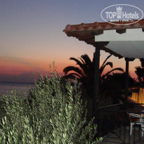 фото из отзыва ID 484425