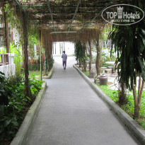 фото из отзыва ID 484450