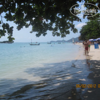 фото из отзыва ID 484450