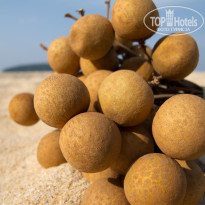 фото из отзыва ID 484559