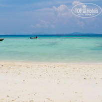 фото из отзыва ID 484559