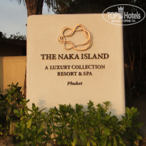 фото из отзыва ID 484604