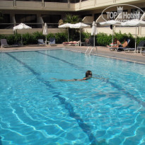 фото из отзыва ID 484663