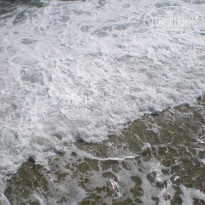 фото из отзыва ID 484814