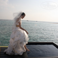 фото из отзыва ID 484886