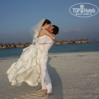 фото из отзыва ID 484886