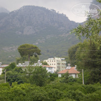 фото из отзыва ID 484960