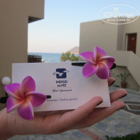 фото из отзыва ID 484978