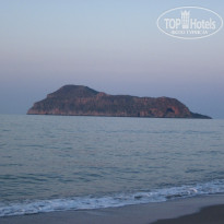 фото из отзыва ID 484978