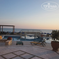 фото из отзыва ID 484978