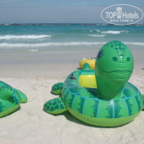 фото из отзыва ID 484148