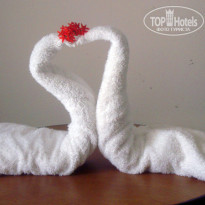 фото из отзыва ID 485631