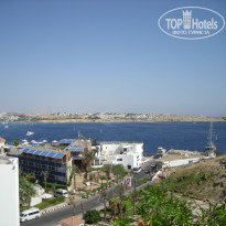 фото из отзыва ID 485848