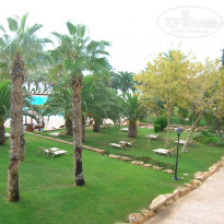 фото из отзыва ID 485913