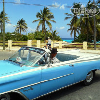 фото из отзыва ID 485998