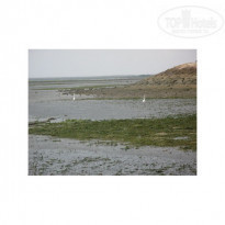 фото из отзыва ID 48669