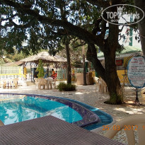 фото из отзыва ID 486018