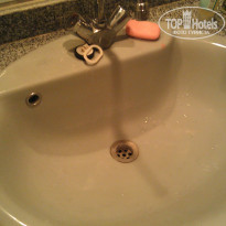 фото из отзыва ID 486033