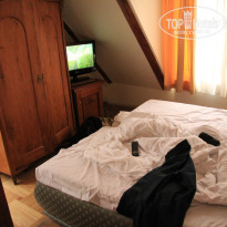 фото из отзыва ID 486073