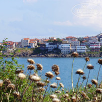 фото из отзыва ID 486086