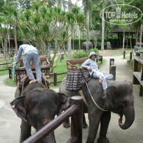 фото из отзыва ID 486167