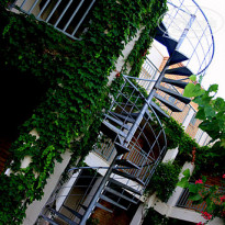 фото из отзыва ID 486263