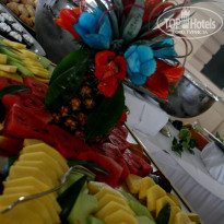 фото из отзыва ID 486263