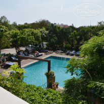 фото из отзыва ID 486332