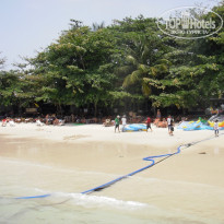 фото из отзыва ID 486381