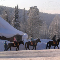 фото из отзыва ID 486463