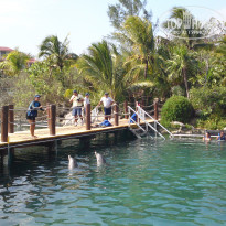 фото из отзыва ID 486749