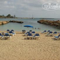 фото из отзыва ID 486950